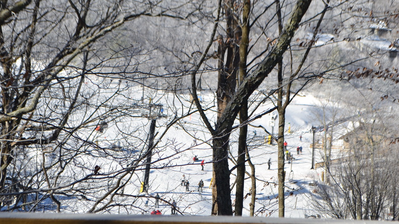 Photo of Others in Beech Mountain