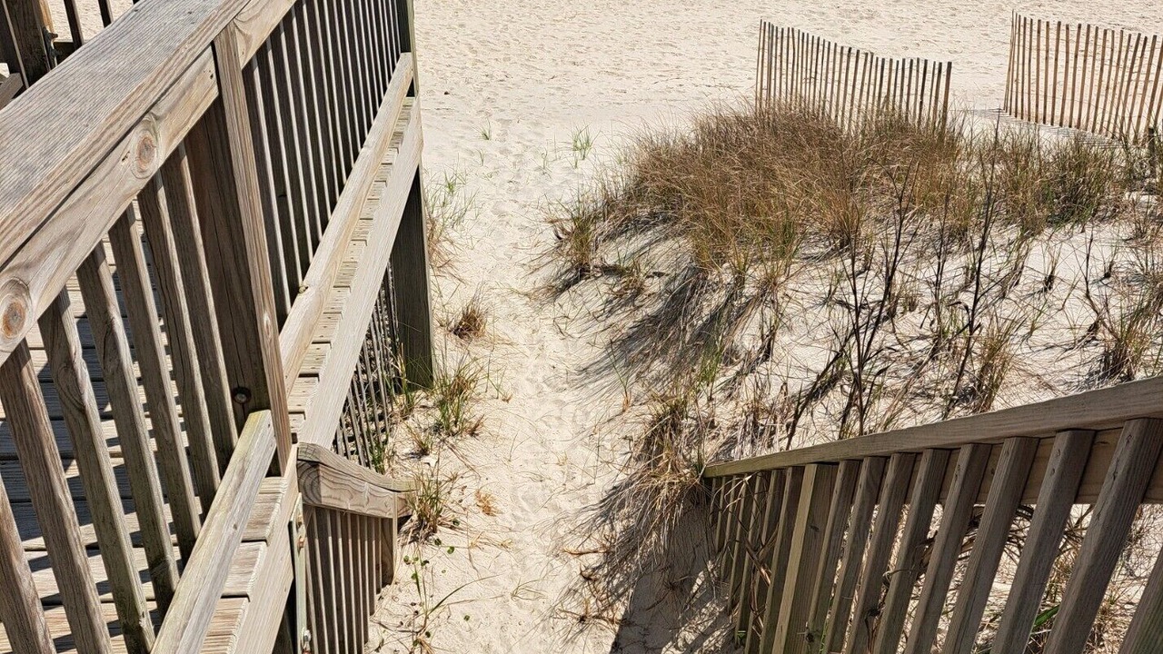 Photo of Others in North Topsail Beach
