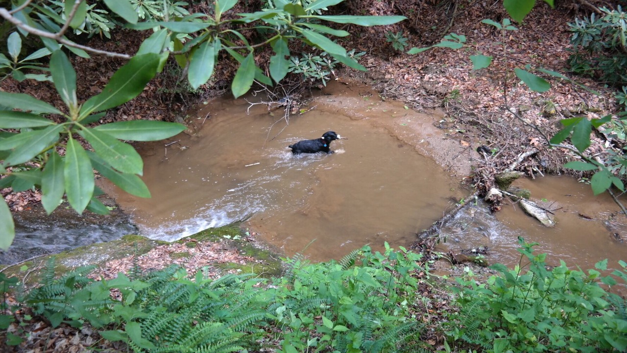 Photo of Others in Apple Ridge