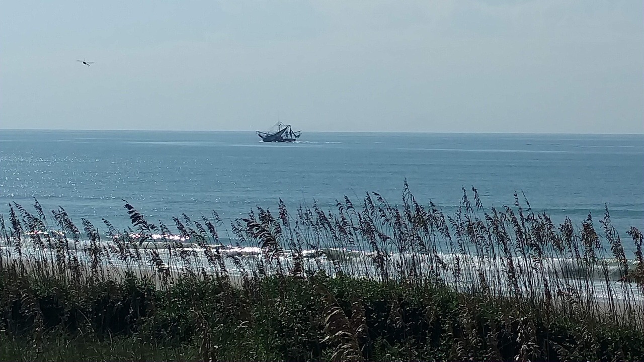 Photo of Others in Emerald Isle