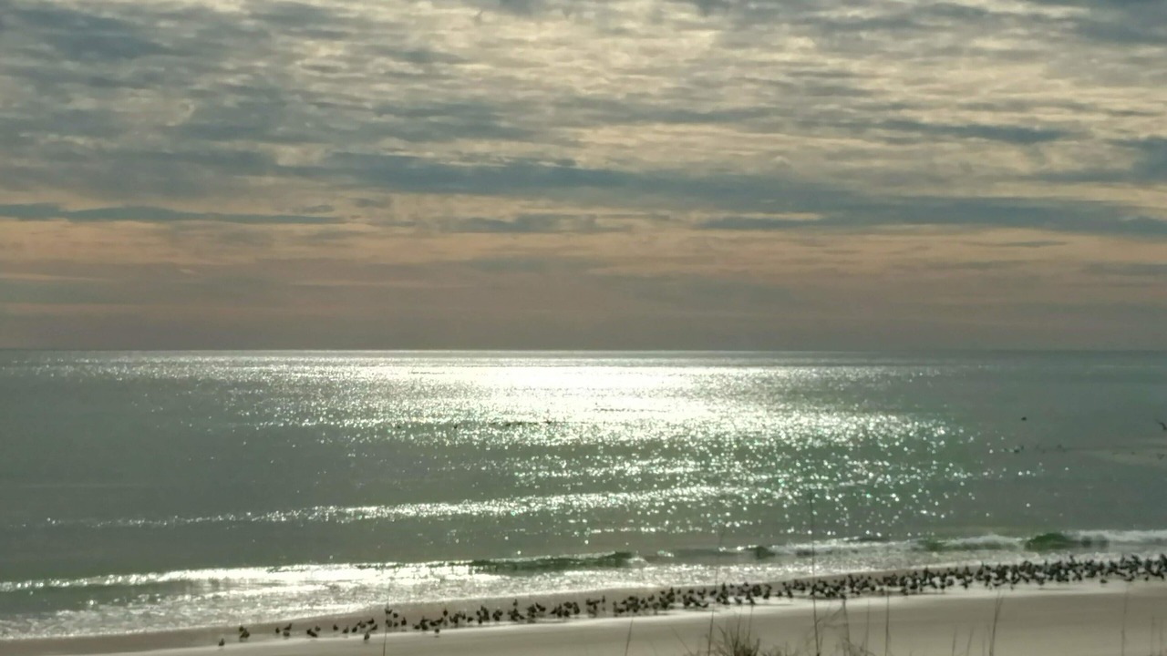 Photo of Others in Emerald Isle