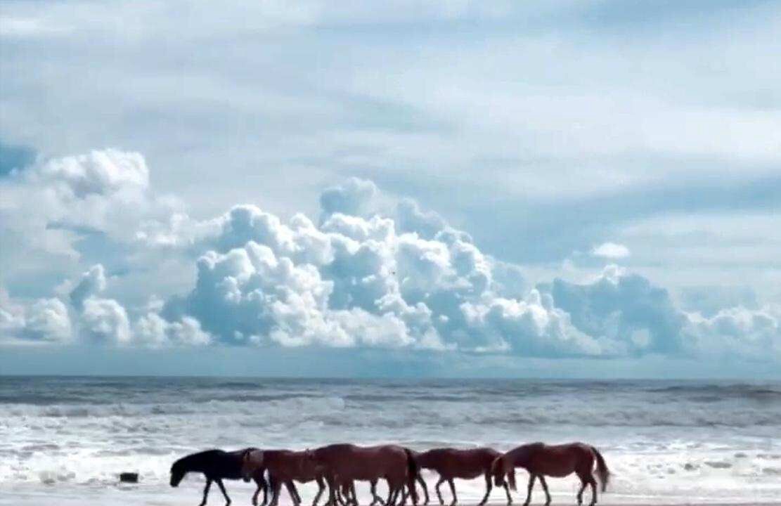 Photo of Others in Carova Beach