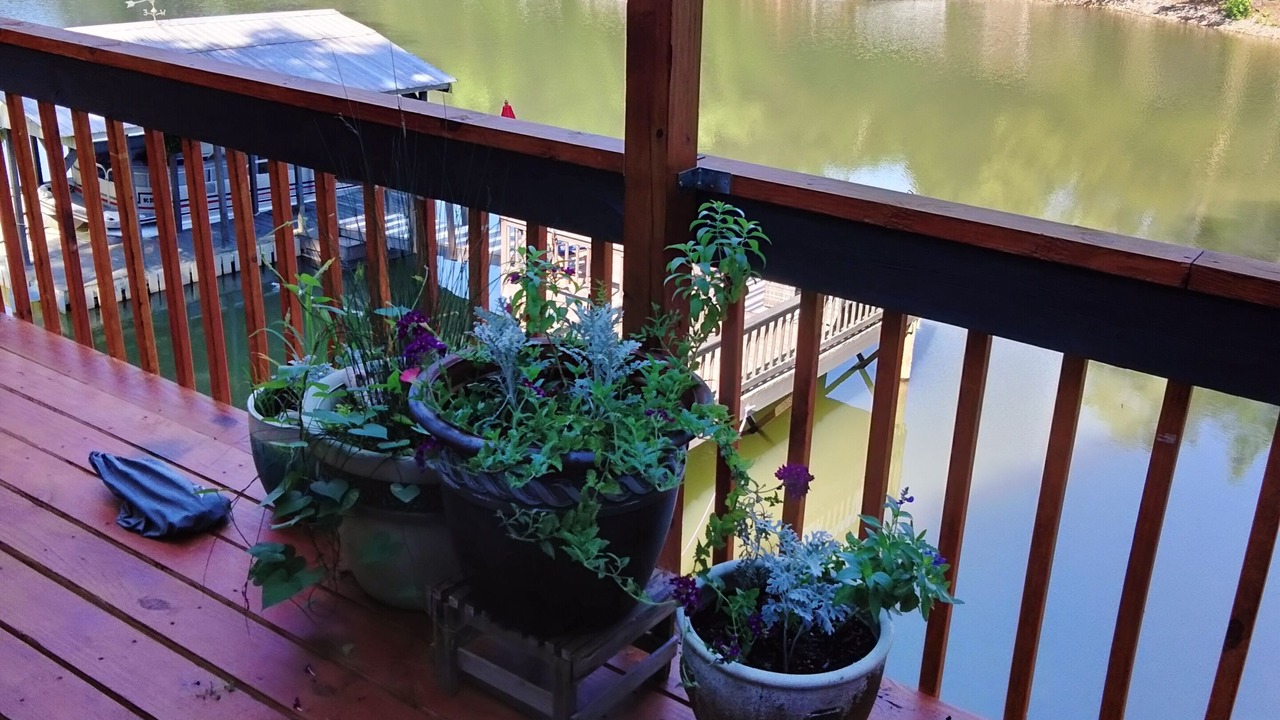 Photo of Outdoor in Lake Norman of Catawba