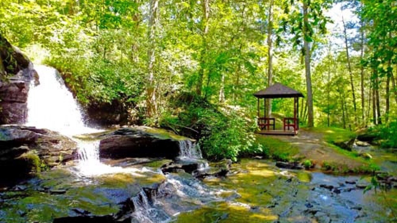 Photo of Others in Lake Lure