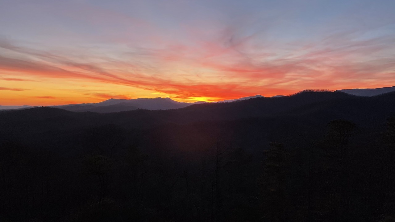 Photo of Others in Pisgah Forest