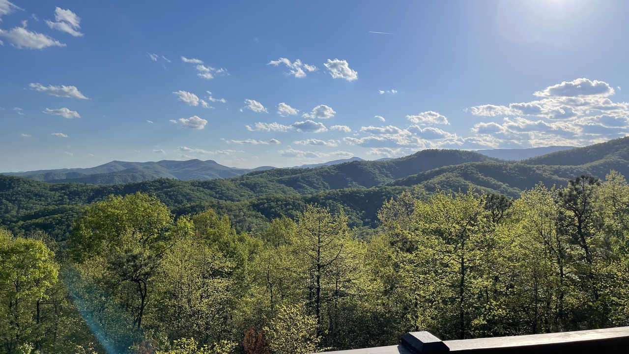 Photo of Outdoor in Pisgah Forest
