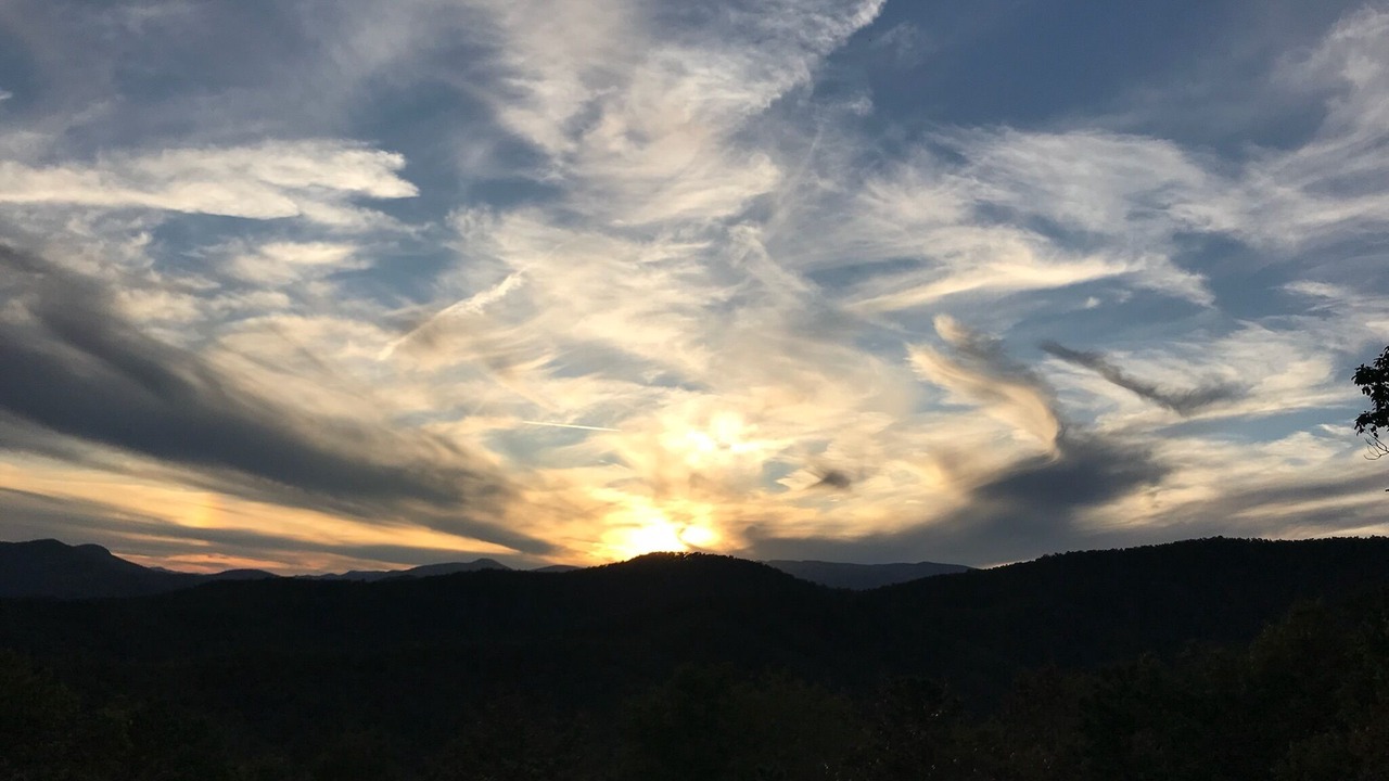 Photo of Others in Pisgah Forest