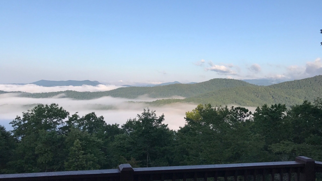 Photo of Others in Pisgah Forest