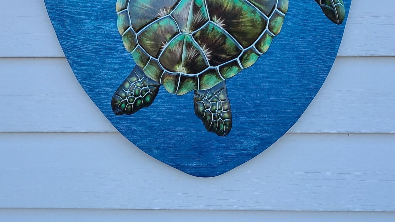 Photo of Outdoor in South Nags Head