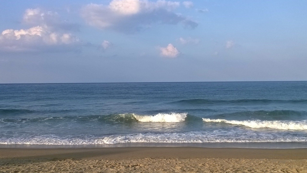 Photo of Others in South Nags Head