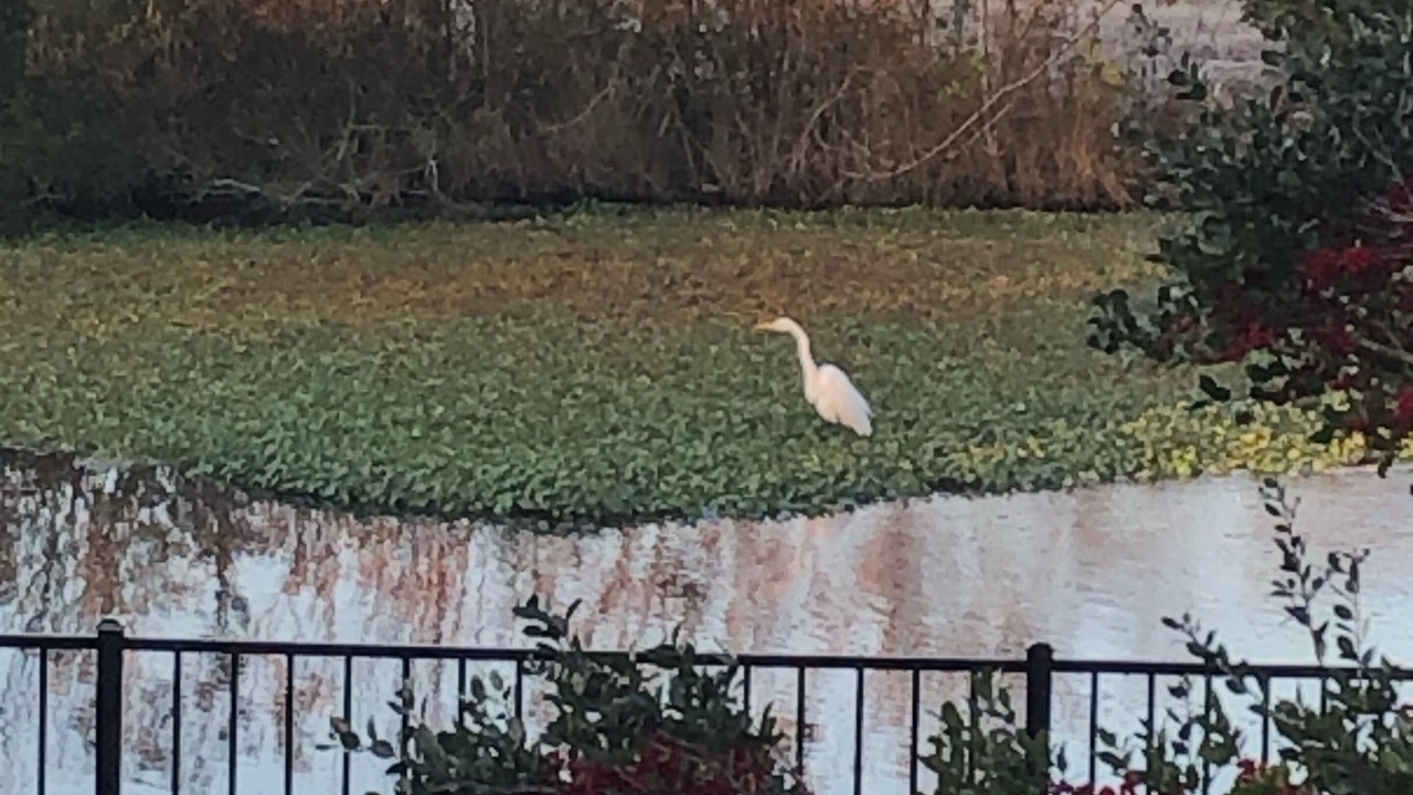 Photo of Outdoor in South Nags Head