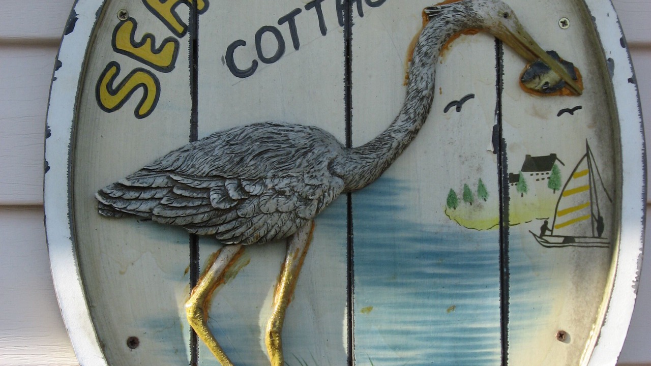 Photo of Outdoor in South Nags Head