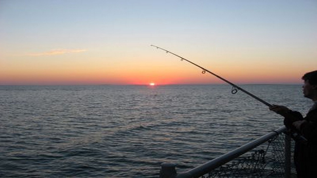 Photo of Others in South Nags Head