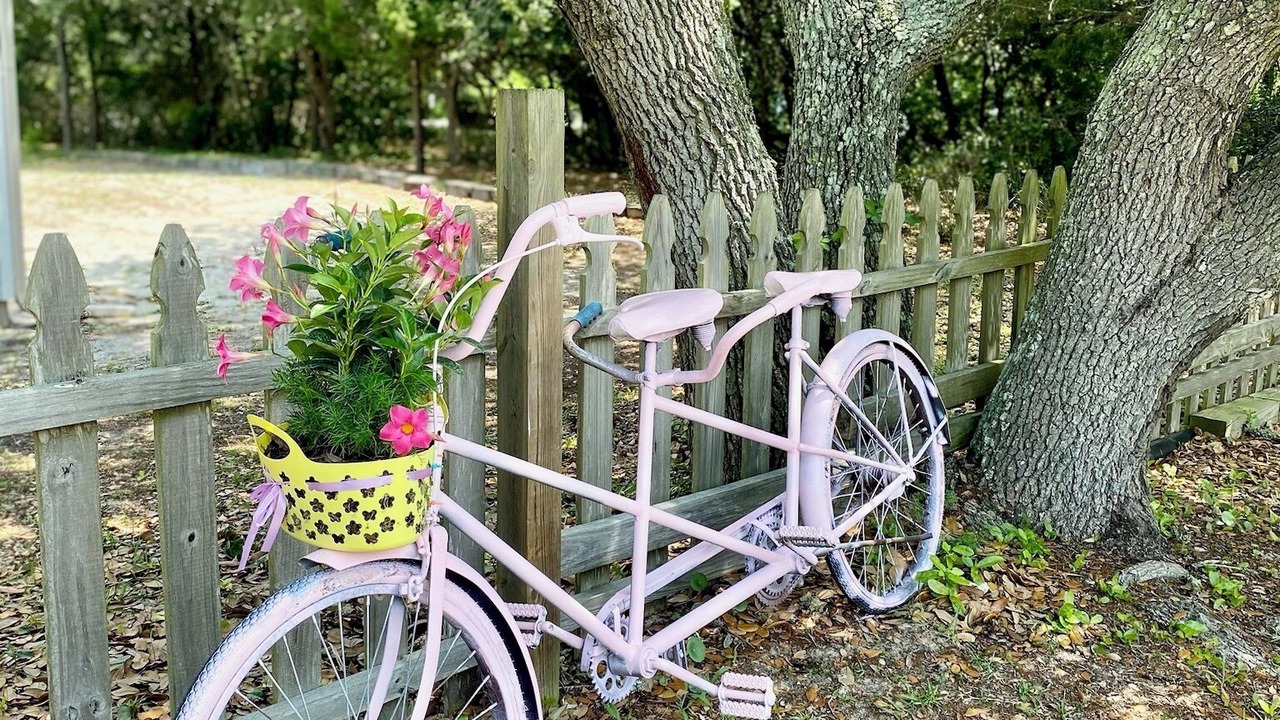 Photo of Outdoor in The Point