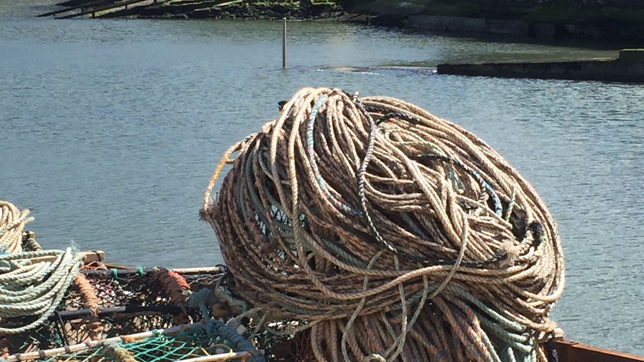 Photo of Others in Staithes