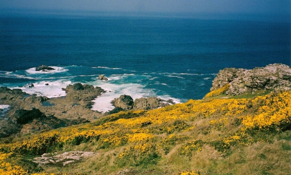 Photo of Others in Lower Boscaswell