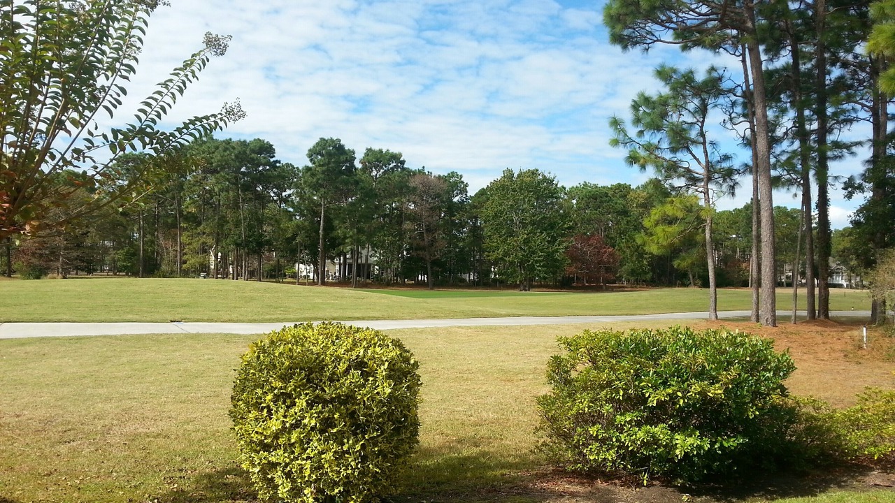 Photo of Outdoor in St. James