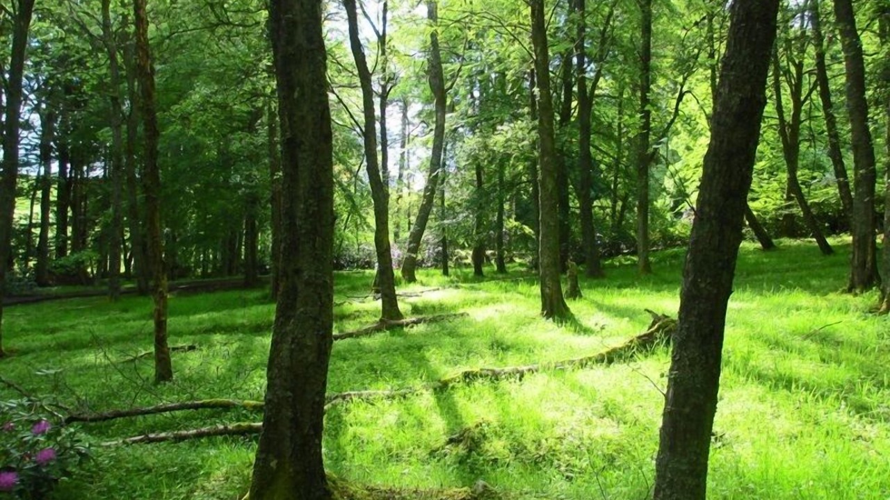 Photo of Outdoor in Northumberland