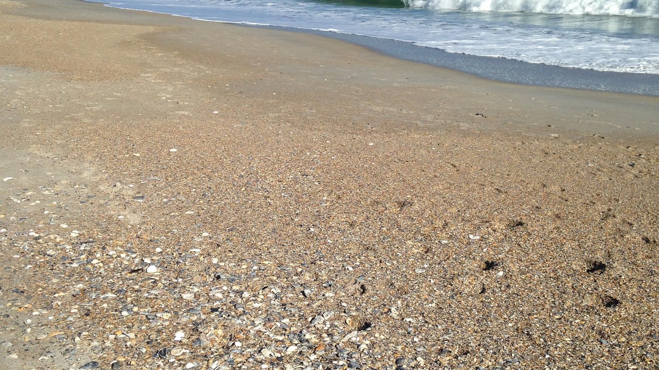 Photo of Others in Wrightsville Beach