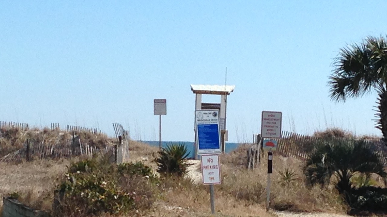 Photo of Others in Wrightsville Beach