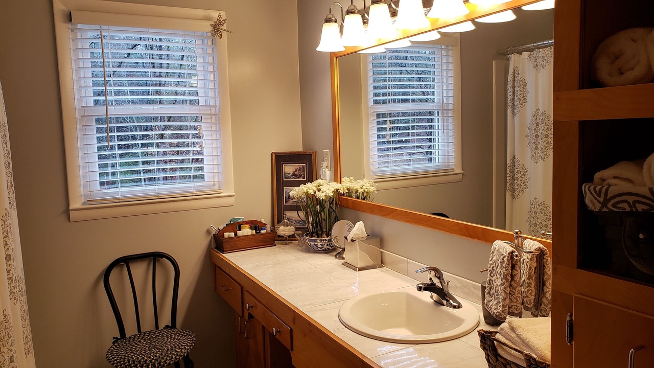 Photo of Bathroom in Nebo