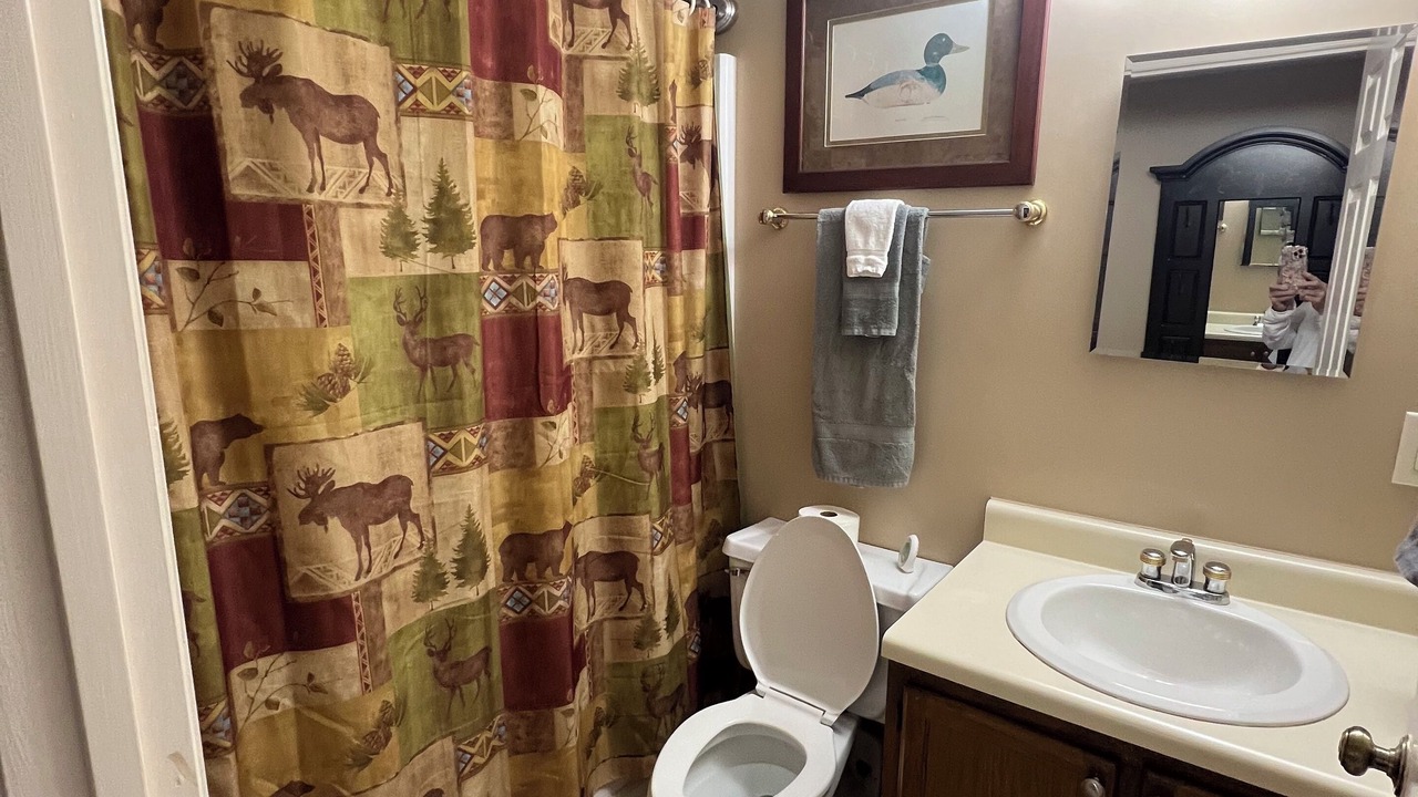 Photo of Bathroom in Sugar Mountain