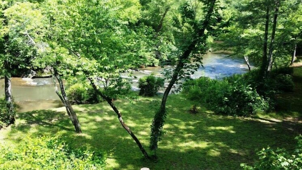 Photo of Others in Brasstown