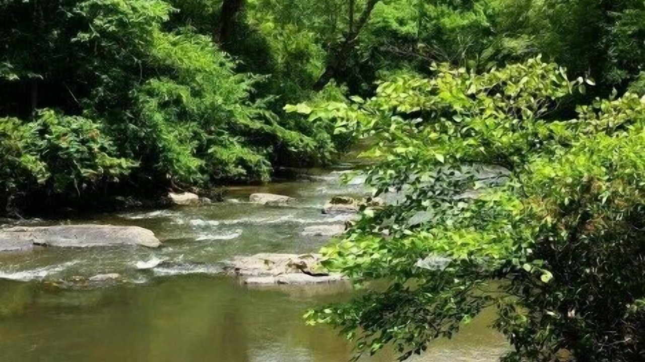 Photo of Others in Brasstown