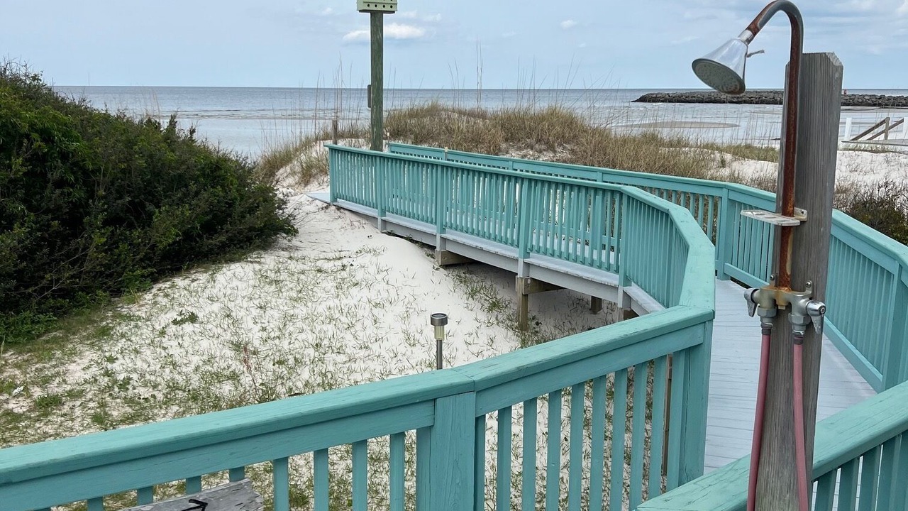 Photo of Others in Cedar Island