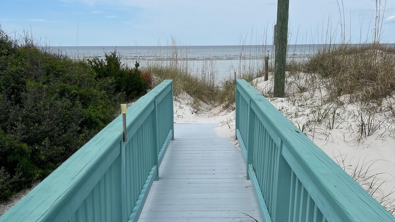 Photo of Others in Cedar Island