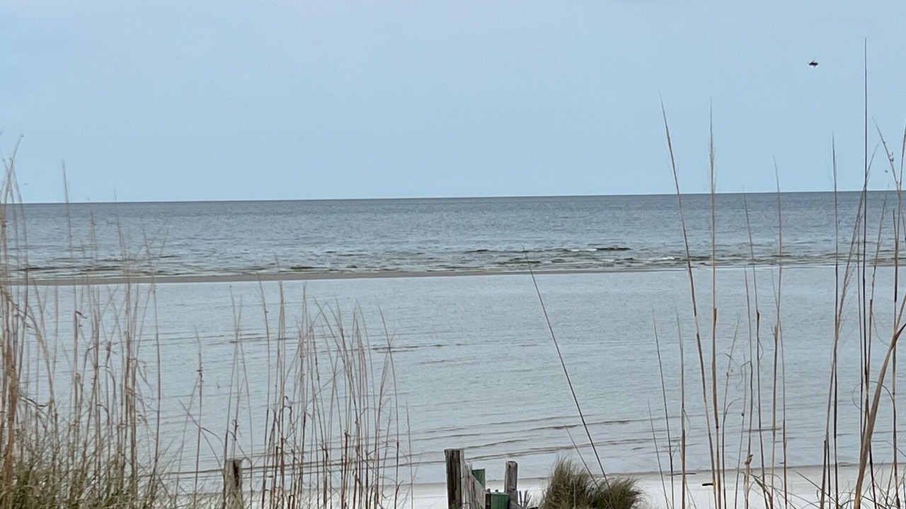 Photo of Others in Cedar Island