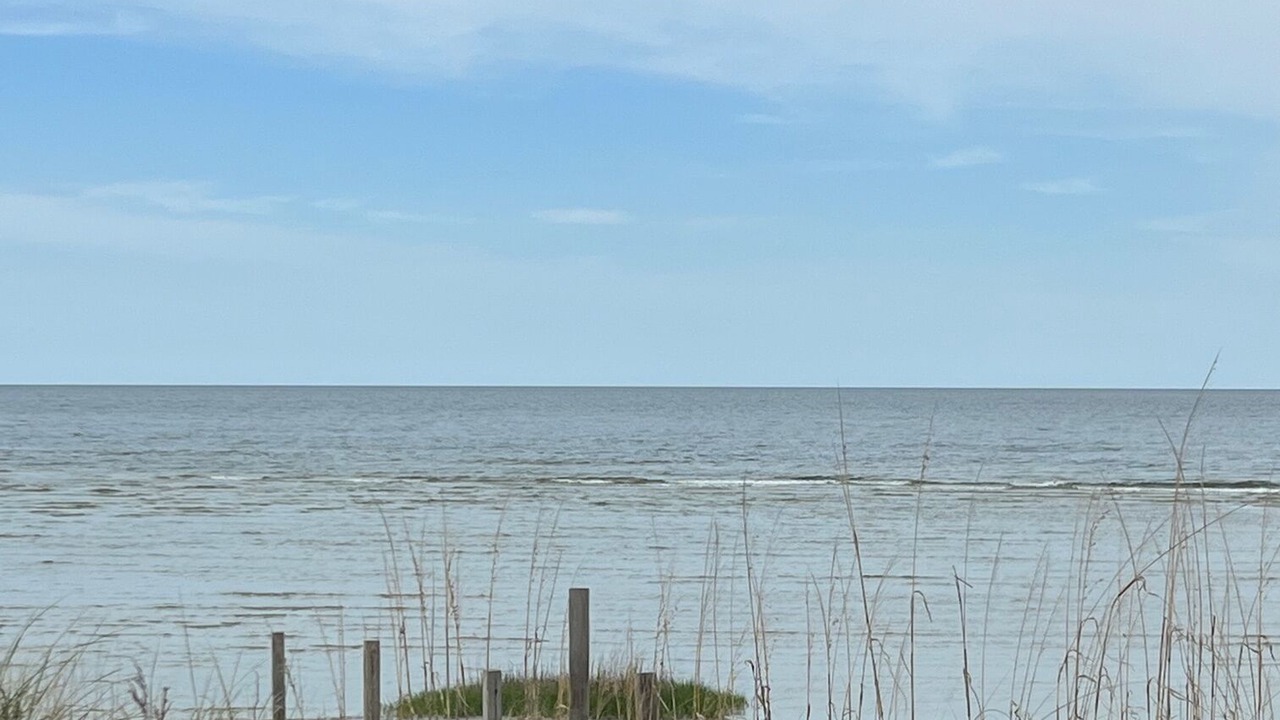 Photo of Outdoor in Cedar Island