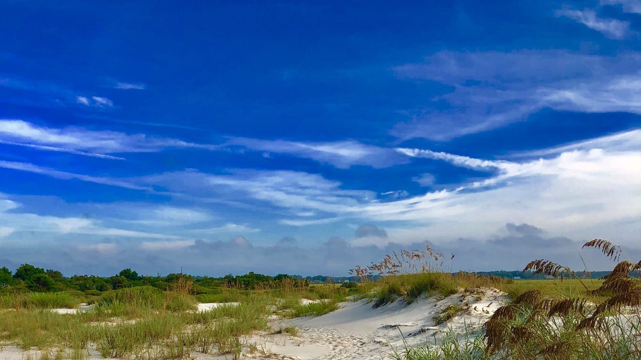 Photo of Others in Sunset Beach