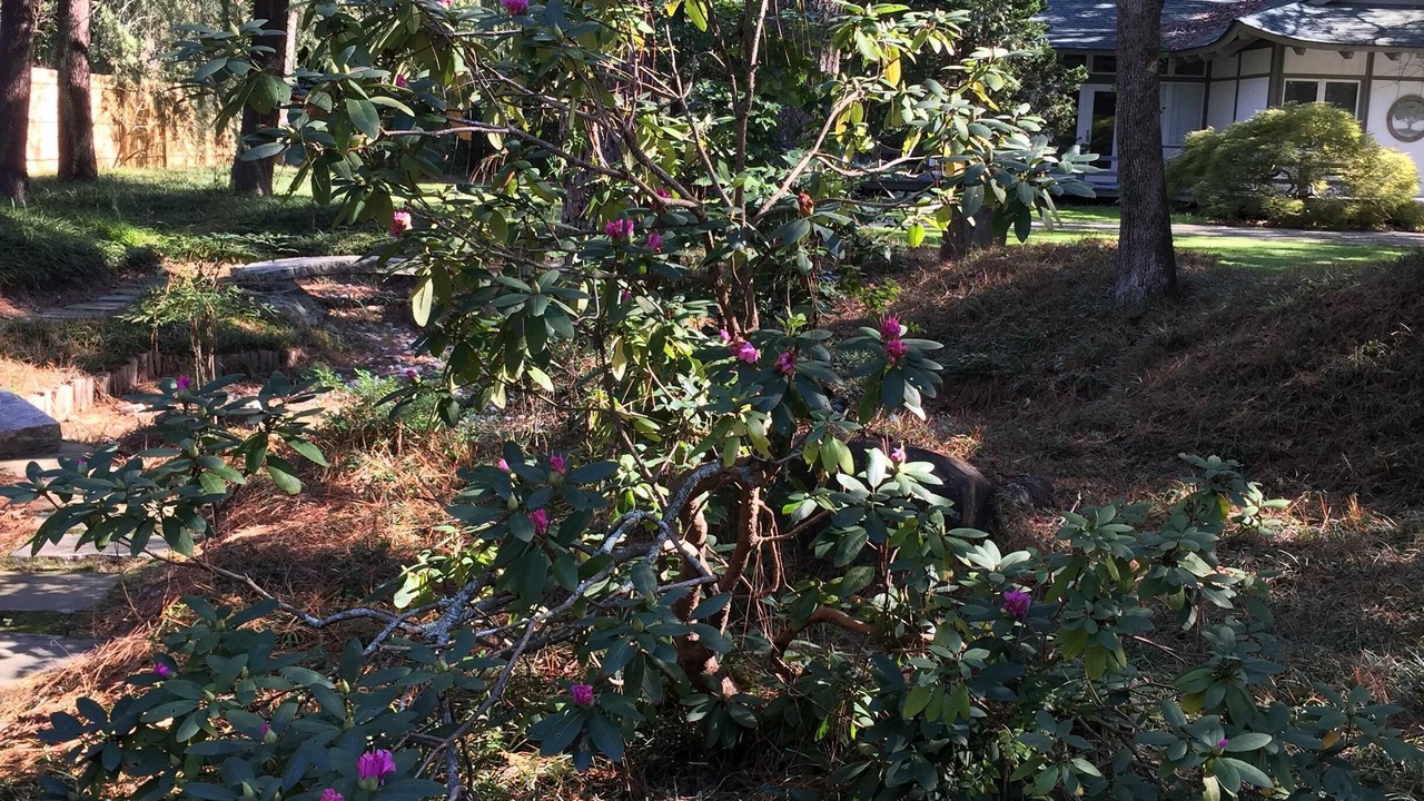 Photo of Outdoor in Old Town