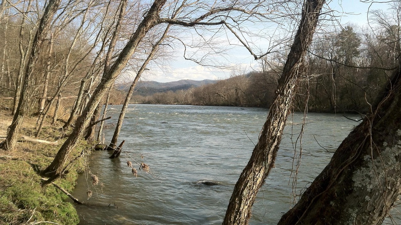 Photo of Others in Hot Springs