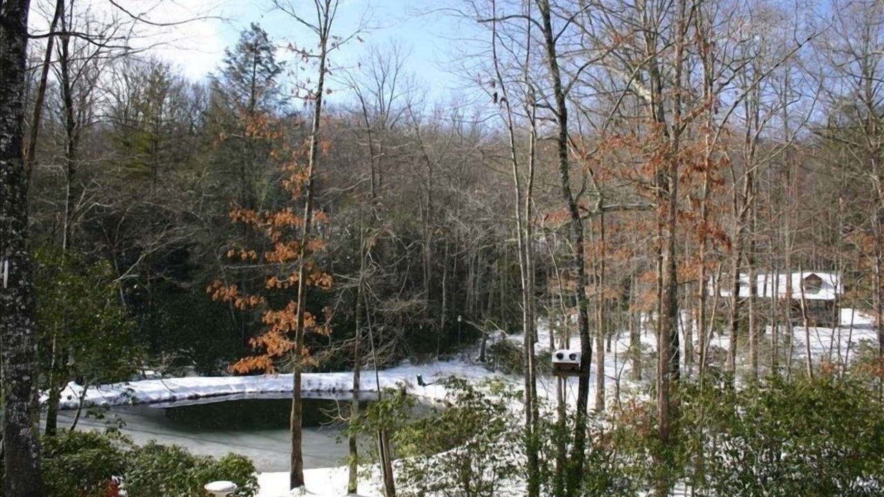 Photo of Others in Cedar Mountain