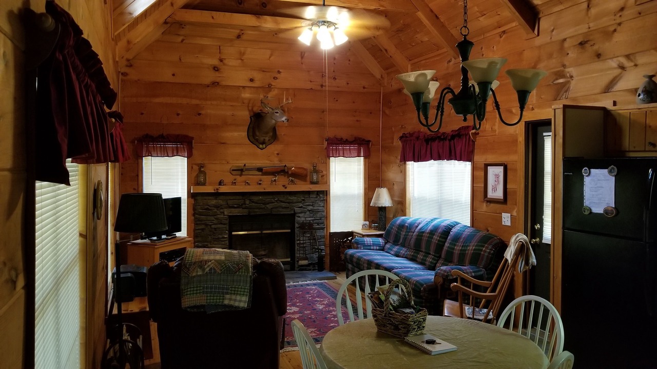 Photo of Livingroom in Cedar Mountain