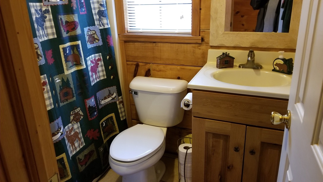 Photo of Bathroom in Cedar Mountain