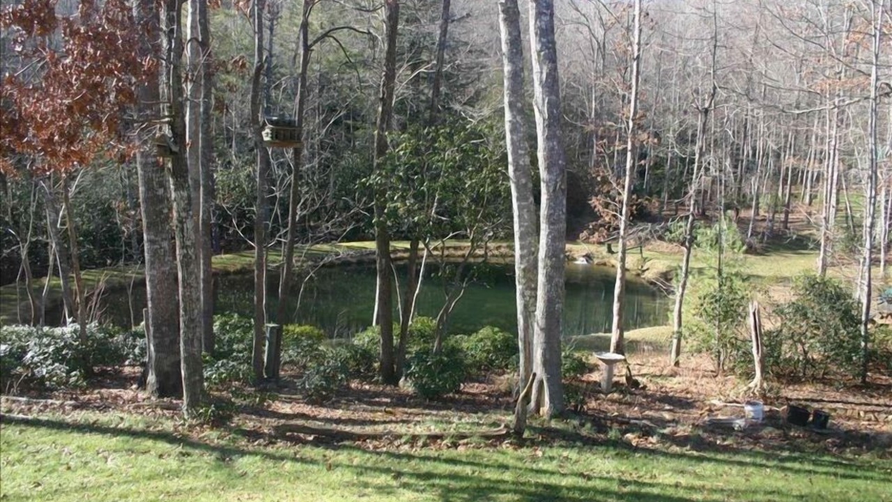 Photo of Others in Cedar Mountain