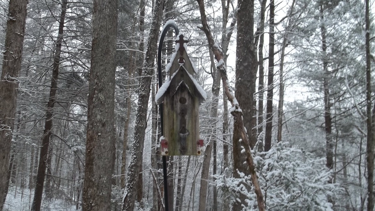 Photo of Others in Brevard