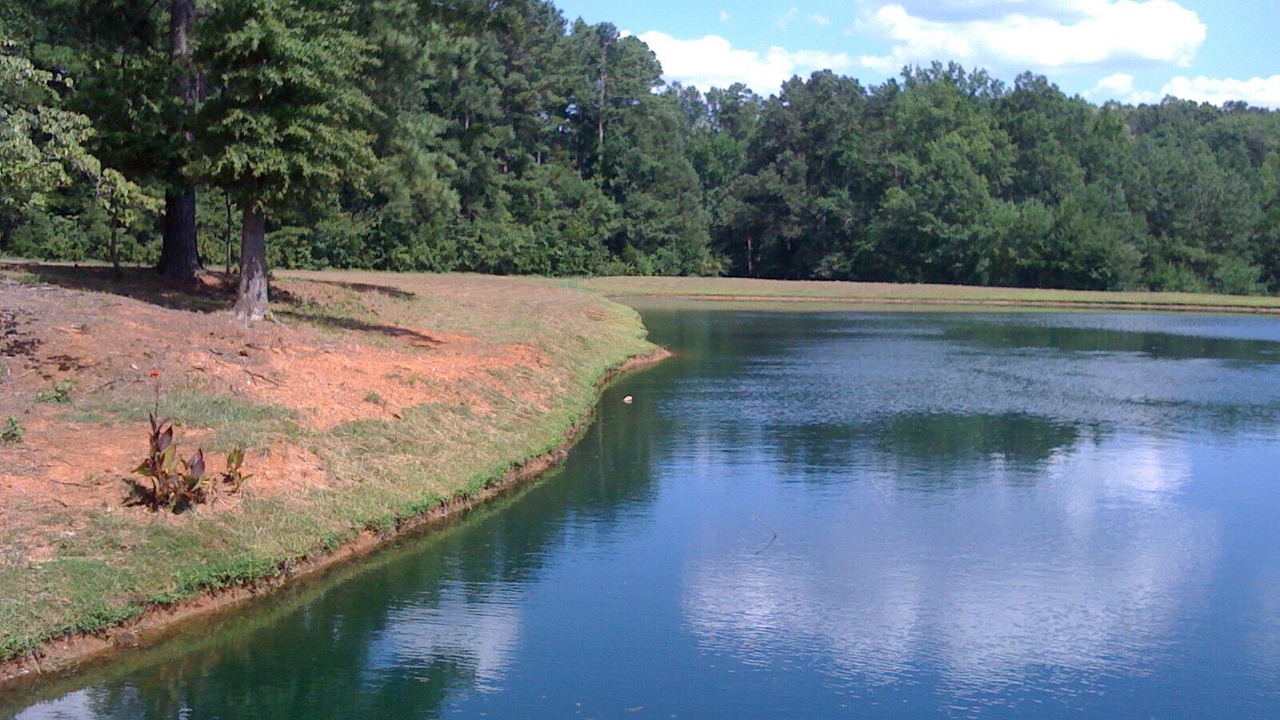 Photo of Outdoor in Pittsboro