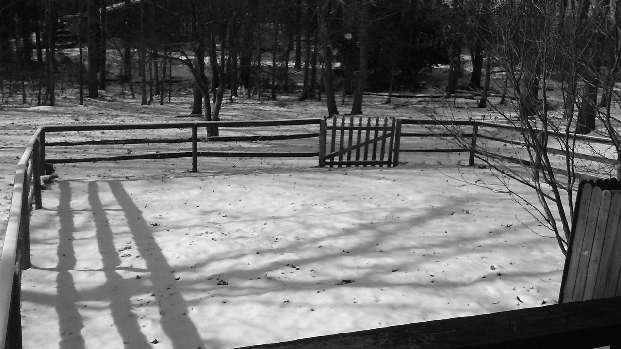 Photo of Outdoor in Apex