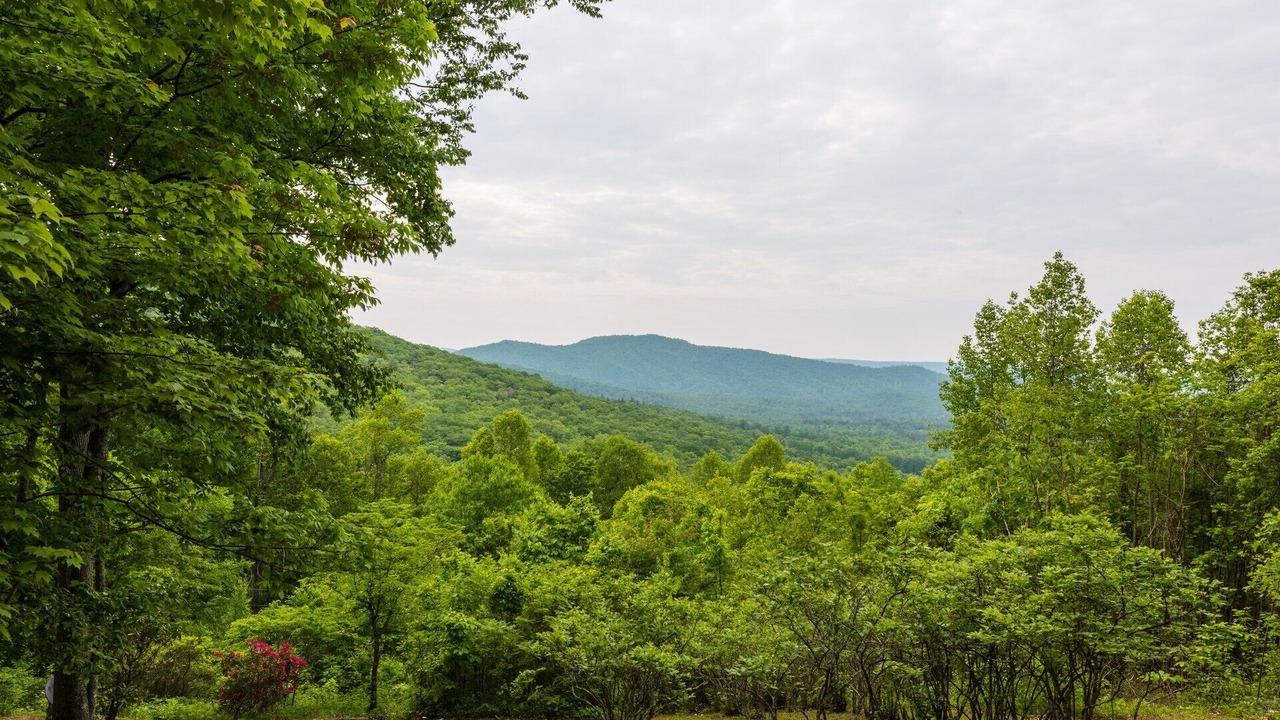 Photo of Outdoor in Spruce Pine
