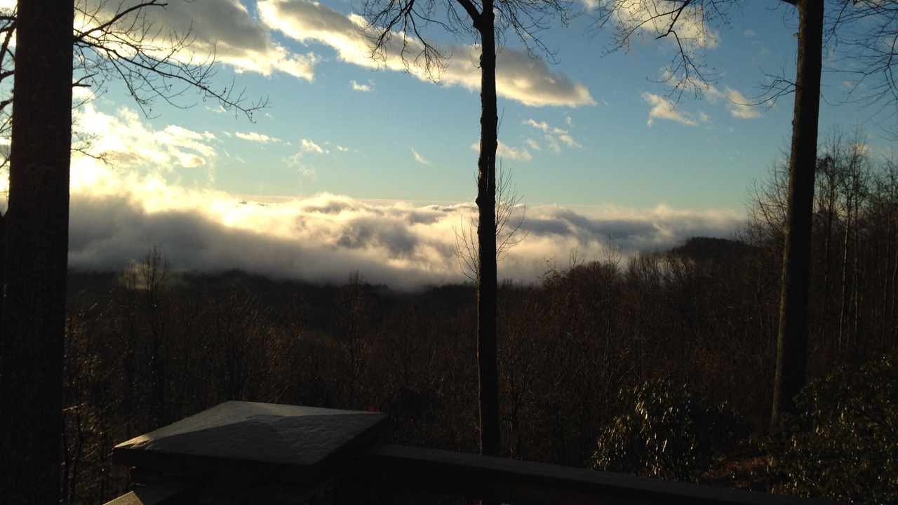 Photo of Others in Spruce Pine
