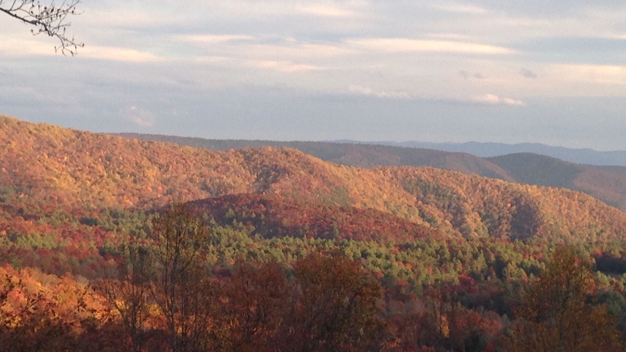 Photo of Others in Spruce Pine