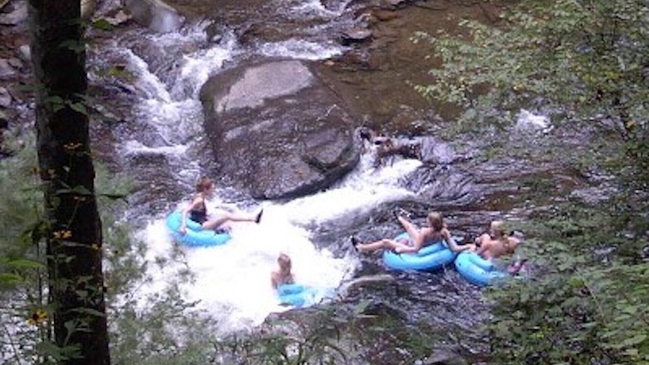 Photo of Others in Bryson City