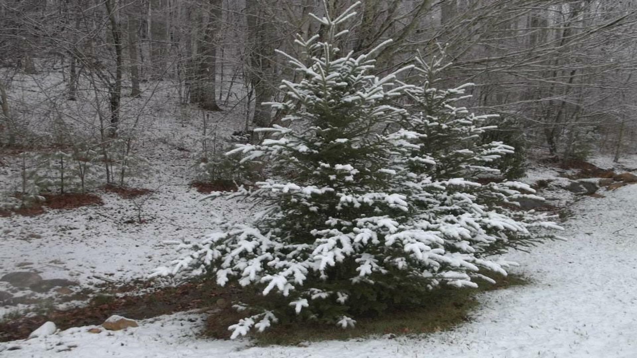 Photo of Outdoor in Frank