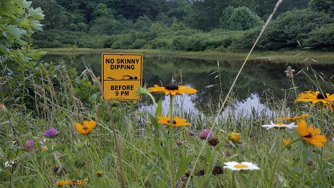 Photo of Others in Frank