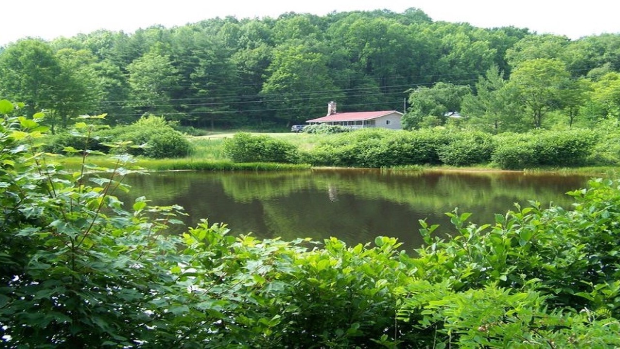 Photo of Outdoor in Frank