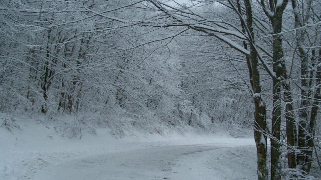 Photo of Others in Frank